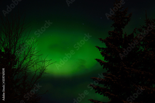 majestic aurora borealis in arctic circle winter landscape