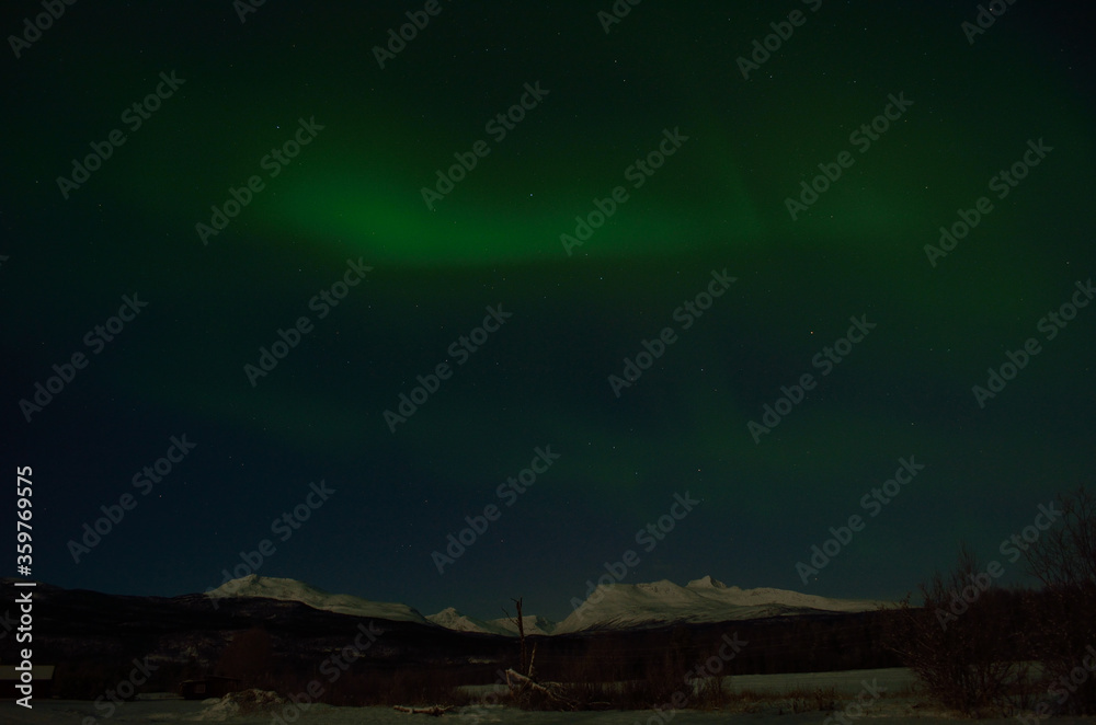 aurora borealis, northern light in the arctic circle at night time