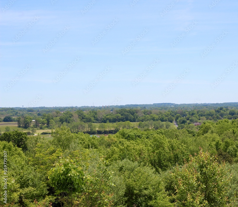 A view of the trees in the countryside landscape. A view of the trees in the countryside landscape.