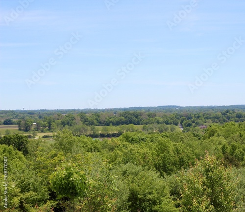 A view of the trees in the countryside landscape.