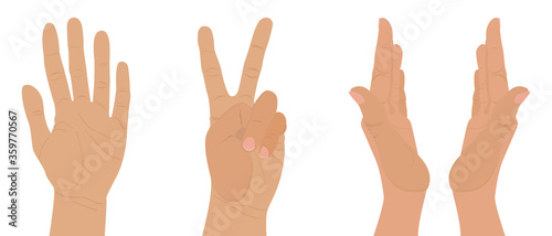 Set of gestures and hands in different poses. Vector illustration of hands isolated on a white background