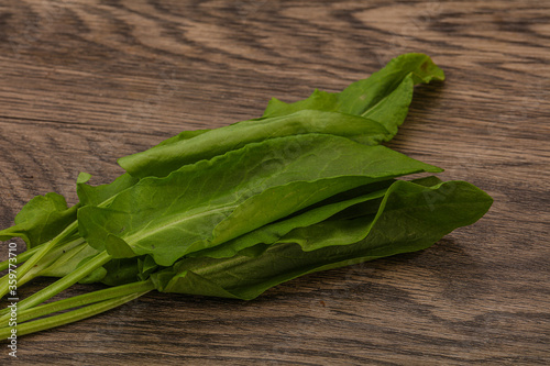 Aroma Fresh green sorrel heap photo