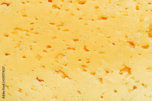 Background of fresh yellow cheese with holes. Cheese texture