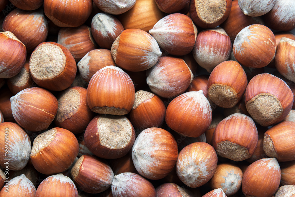 Raw hazelnut. Food hazelnut texture. Raw hazelnut. Food hazelnut texture.