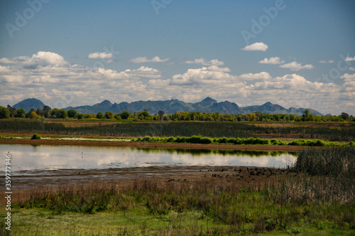 Sutter Buttes, California springtime 