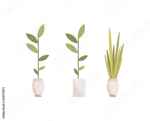 Houseplants semi flat RGB color vector illustrations set. Decorative indoor plants in flowerpots isolated cartoon objects on white background. Natural apartment interior decorations, homeplants pack