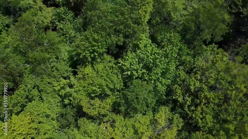 Drone shooting in Laurentides, Canada. Point of view slowly rising towards the top of the trees, wide angle view of a green lush valley. photo