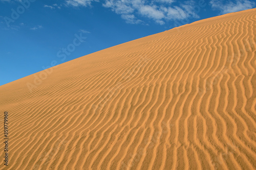 NAMIBIA. BIG SAND DUNES IN THE NAMIB DESERT.