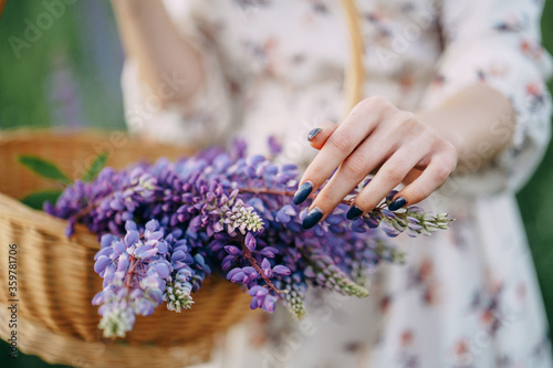 basket with lupines in the hands of a girl close up