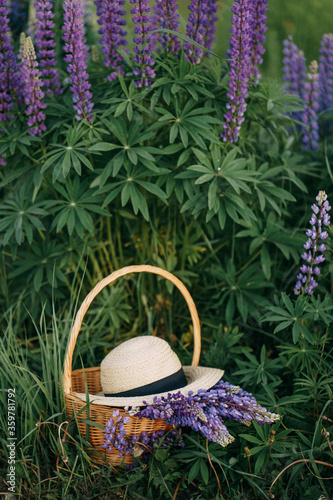 wicker basket with hat and lupins