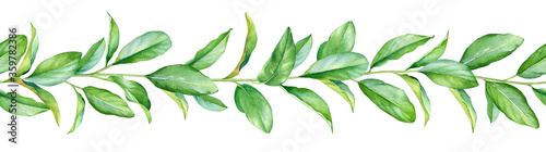 Seamless pattern with watercolor twigs with green leaves