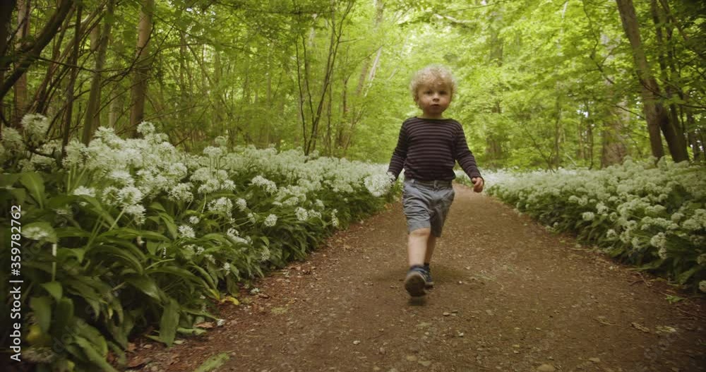 Cute Toddler Boy Walking in the Forest with Flowers in Hand Cute Toddler Boy Walking in the Forest with Flowers in Hand