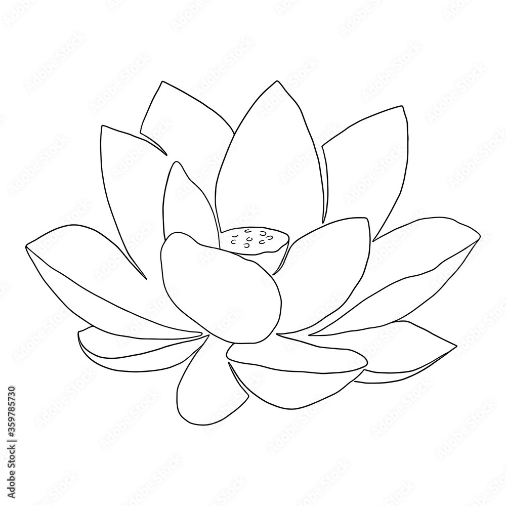 Water Lily drawing for kids - video Dailymotion
