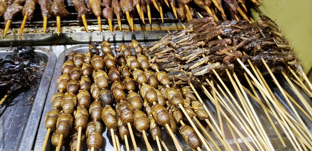 Insects being sold in a street food market in Beijing