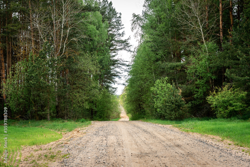 Fototapeta premium Gravel road along the field.