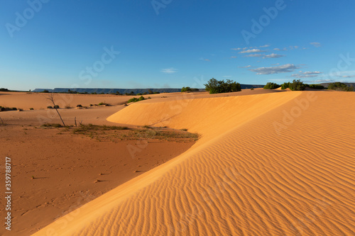 Dunes in Jalap  o State Park near Mateiros City.