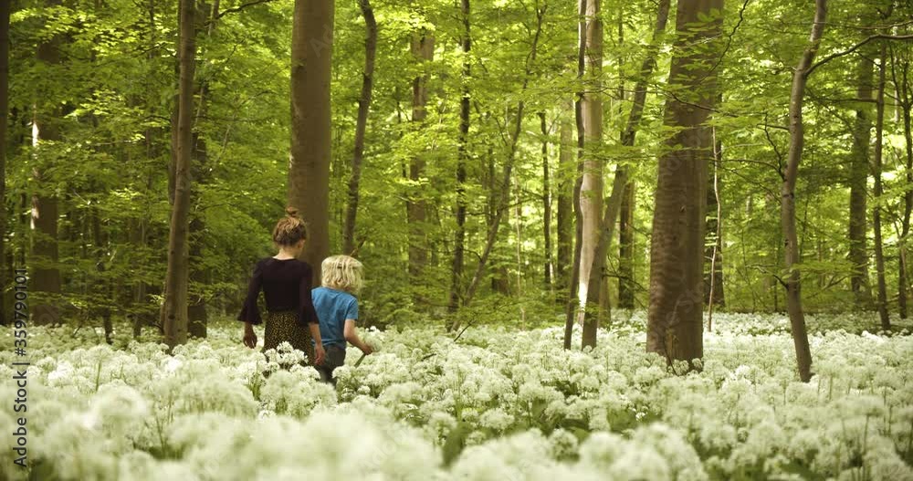 Siblings Carefully Watching Their Step While Surrounded by White Flowers Siblings Carefully Watching Their Step While Surrounded by White Flowers