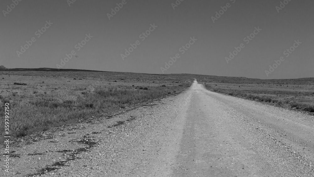 Fototapeta premium Lonely dirt road on a harsh flat prairie landscape