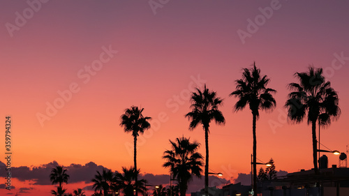 Silhouettes of palm trees at orange and violet sunset sky background, copy space. Tropical resort, summer travel concept.