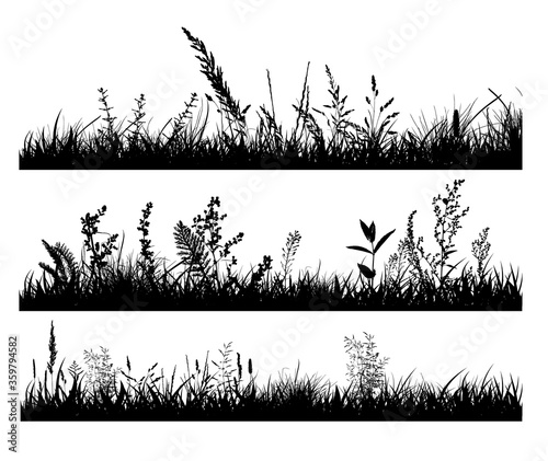Abstract background with black silhouettes of meadow wild herbs and flowers. Wildflowers. Floral background. Wild grass. Vector illustration.