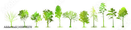 A set of silhouettes of trees. Picturesque green landscape. Mixed media. Vector illustration