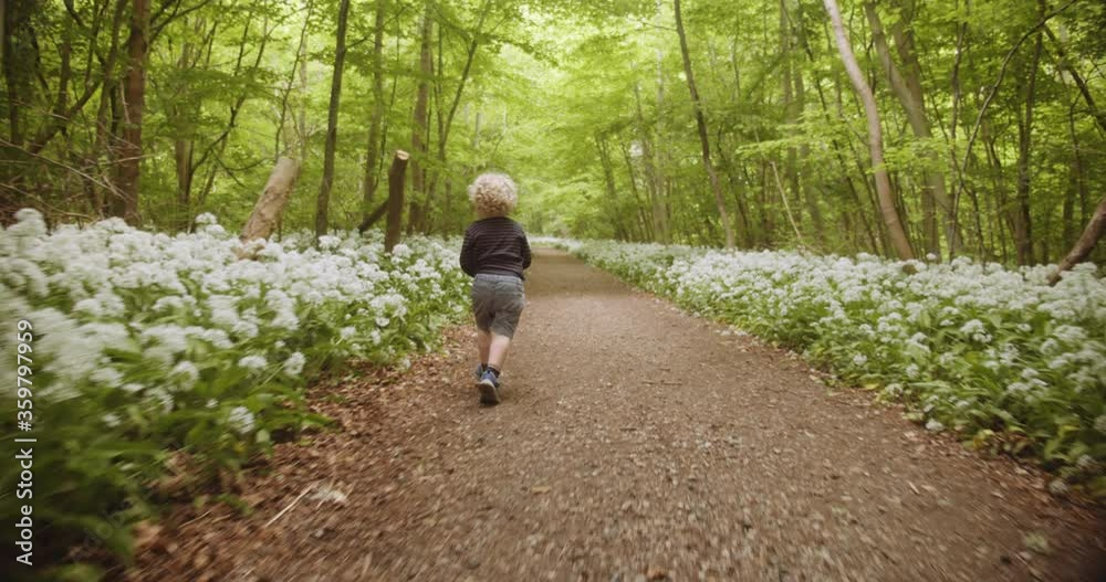 Cute Toddler Running in the Forest Woods with Flowers in Hand Cute Toddler Running in the Forest Woods with Flowers in Hand