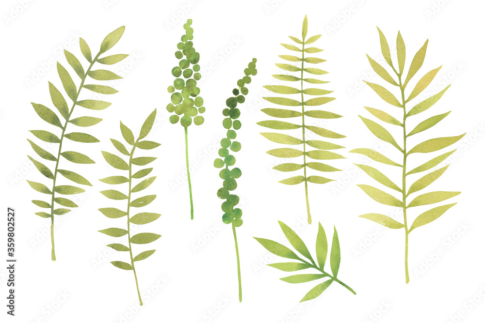 Watercolor hand painted set of tropical green leaves. Clipart illustration of plants for design background, web template, digital paper, home decor, botanical print. Isolated on white background.