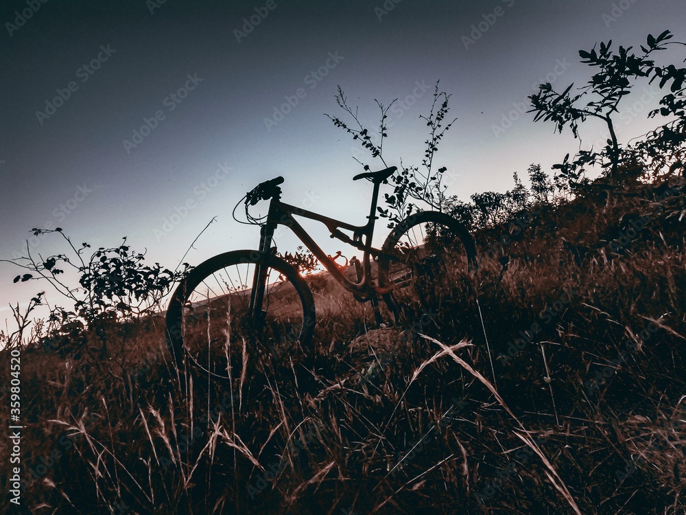 Naklejka premium bicycle on sunset