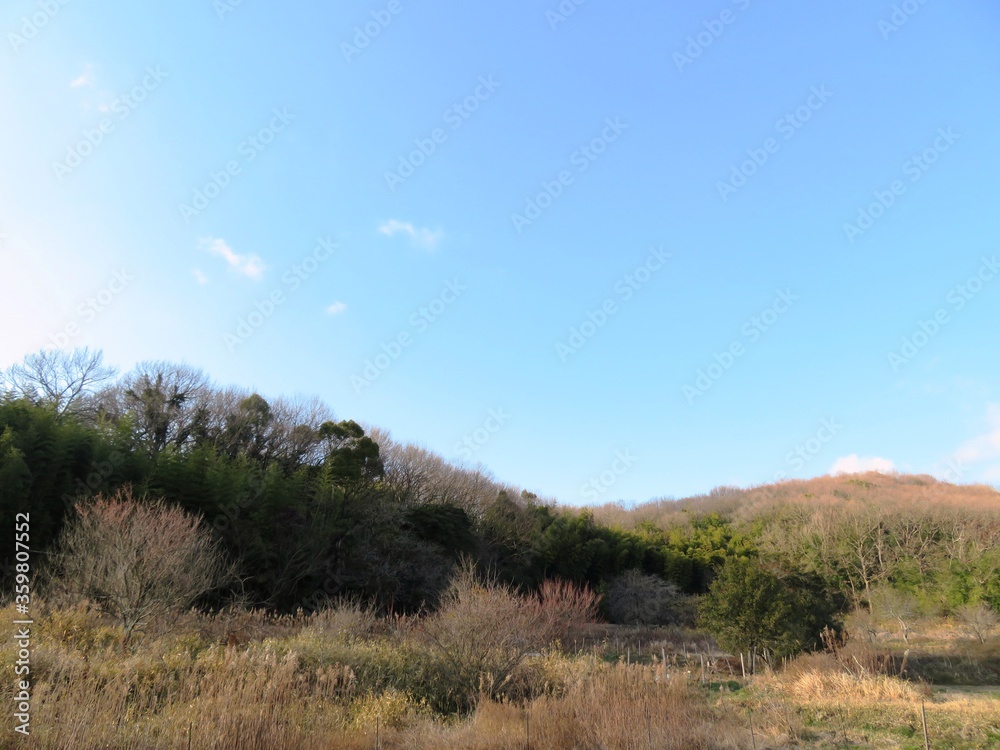 日本の田舎の風景 2月 山の木々と青空 日本の田舎の風景 2月 山の木々と青空