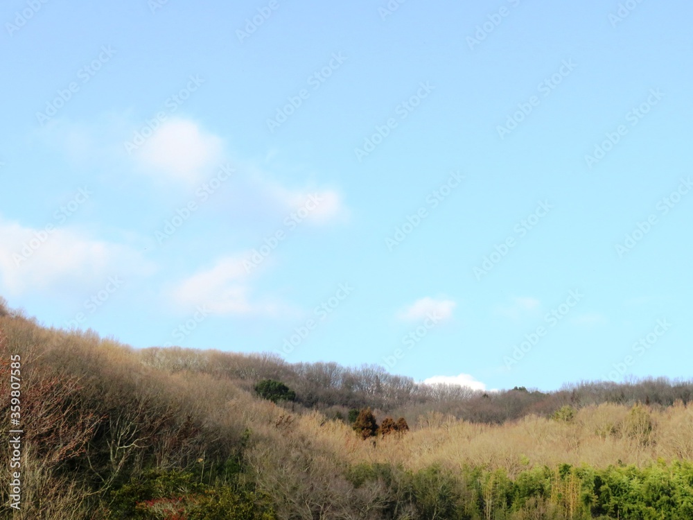 日本の田舎の風景　2月　山の木々と青空