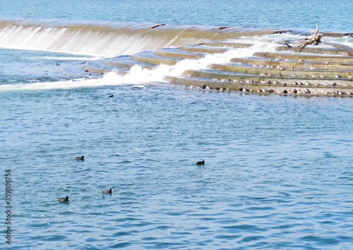 日本の田舎の風景 2月 川の堰堤と鴨の群れ