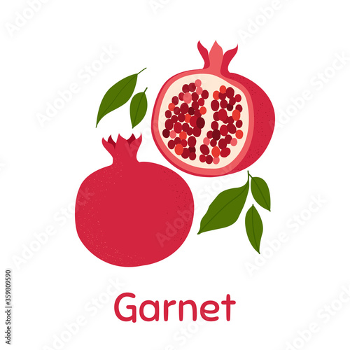 Garnet. Vector Illustration EPS.