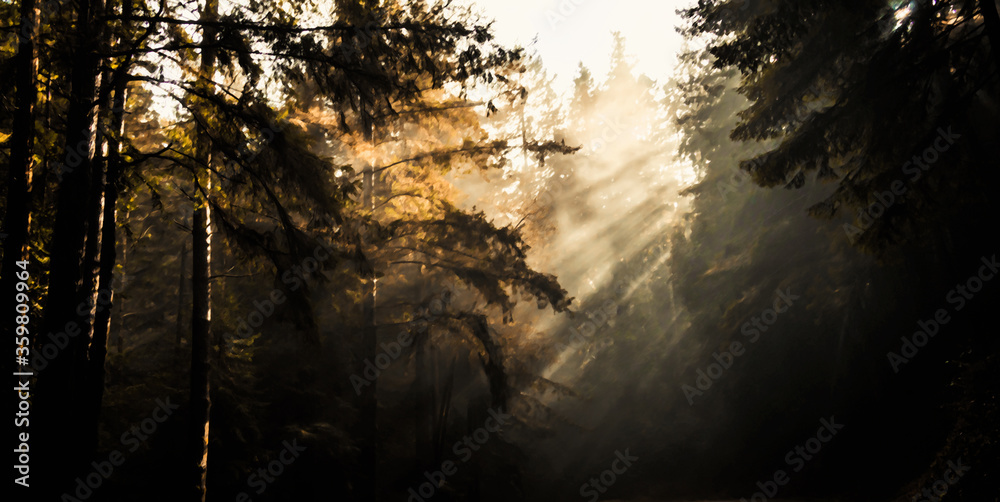 Sun beam through a forest in Sequoia National Park