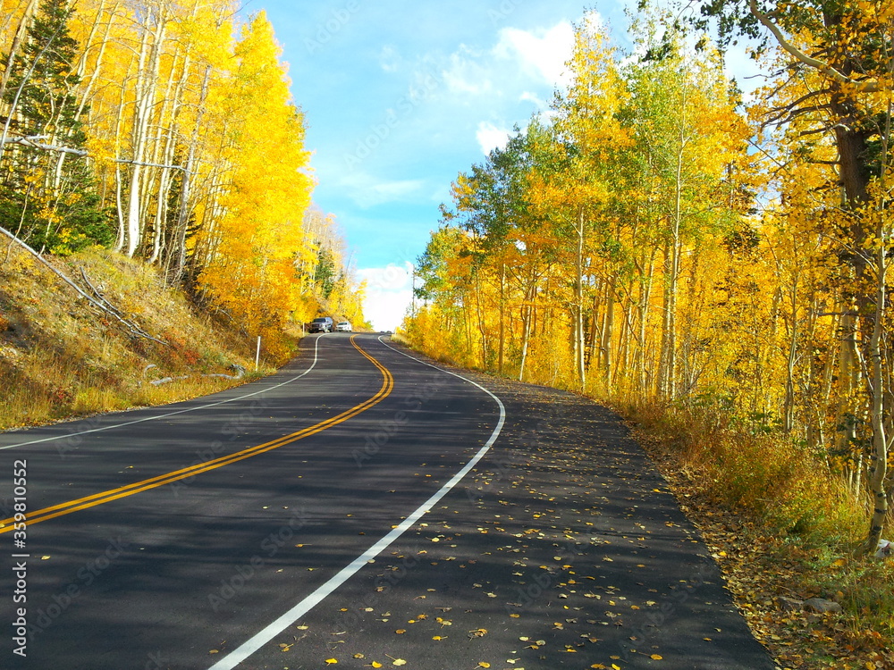 Fototapeta premium Guardsman Pass near Park City, Utah in Autumn