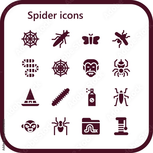spider icon set
