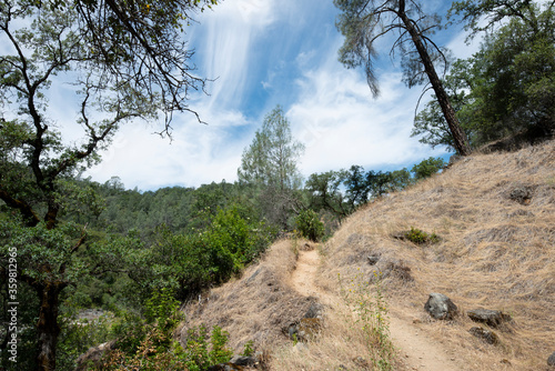 Fototapeta Naklejka Na Ścianę i Meble -  Lonely narrow dirt trail in dry northern california landscape under beautiful blue sky