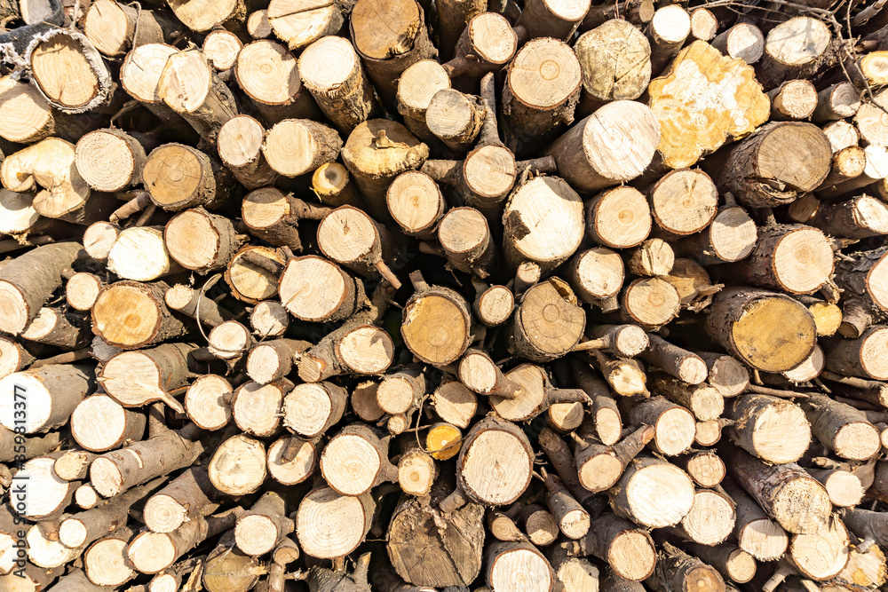Stack of sawn logs. Natural wooden decor background. Stack of sawn logs. Natural wooden decor background.