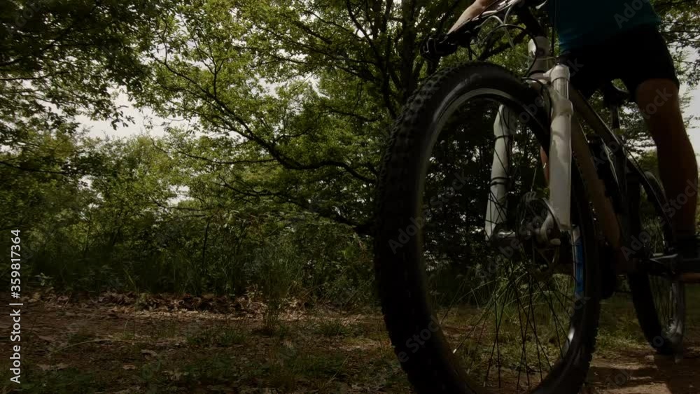A shot of a boy cycling near the camera on a sunny summer day. A gorgeous large tree and greenery in the background. Outdoor sports activities in nature. A shot of a boy cycling near the camera on a sunny summer day. A gorgeous large tree and greenery in the background. Outdoor sports activities in nature.