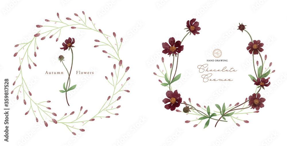 チョコレートコスモスの水彩イラスト 2つのリース Stock Vector Adobe Stock