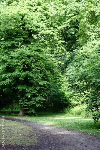 Green pathway