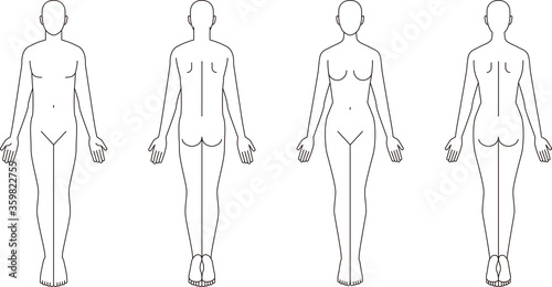 人体のイラスト。男性女性の略図 photo