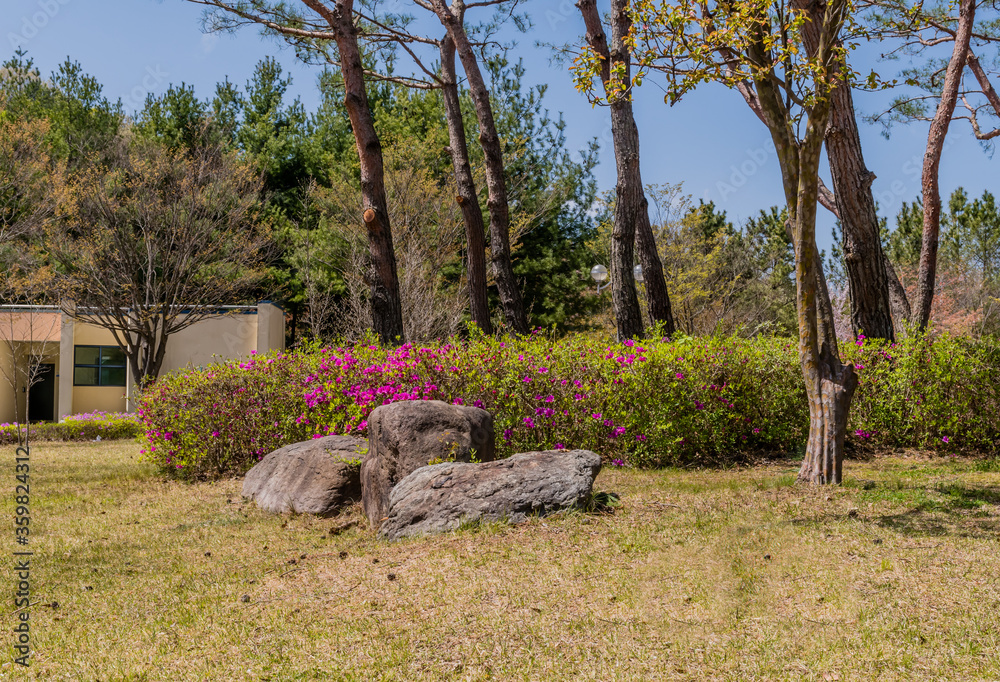 Boulders in front of flower bush