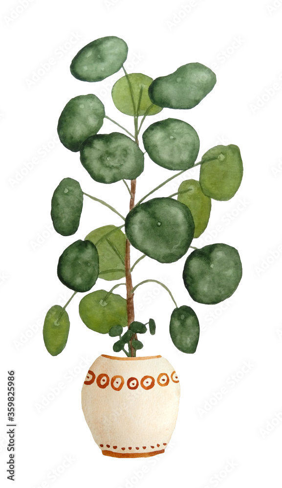 Φωτογραφία watercolor hand drawn illustration of Pilea peperomioides known as chinese money plant pancake plant in brown beige clay terra cotta pot