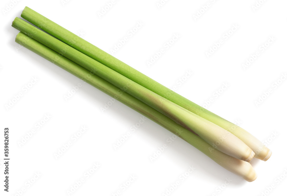 fresh lemongrass stems isolated on white background, top view fresh lemongrass stems isolated on white background, top view