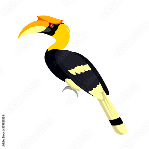 Hornbill bird illustration. Logo, icon design.