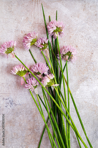chives on the metal background