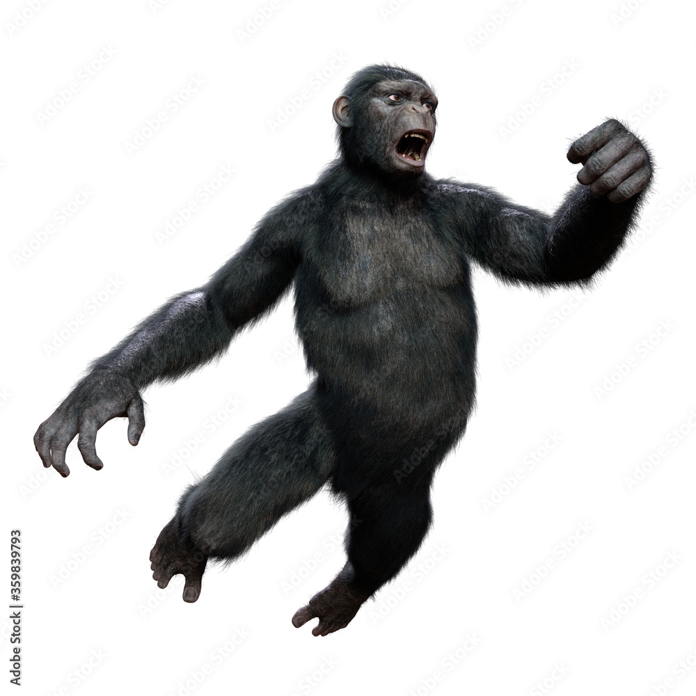3D Rendering Chimpanzee on White 3D Rendering Chimpanzee on White