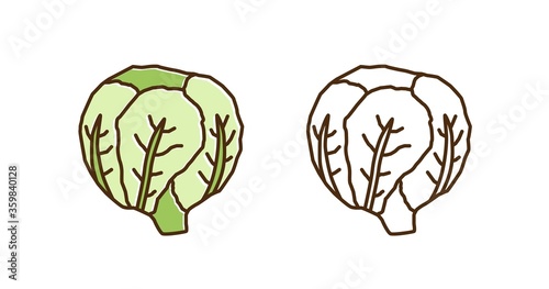 Colorful and monochrome savoy cabbage set in line art style. Ripe raw fresh g...
