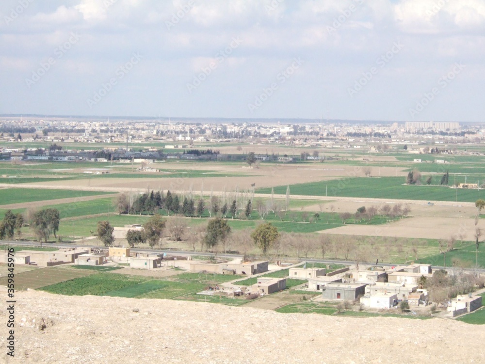 Obraz premium Plain field