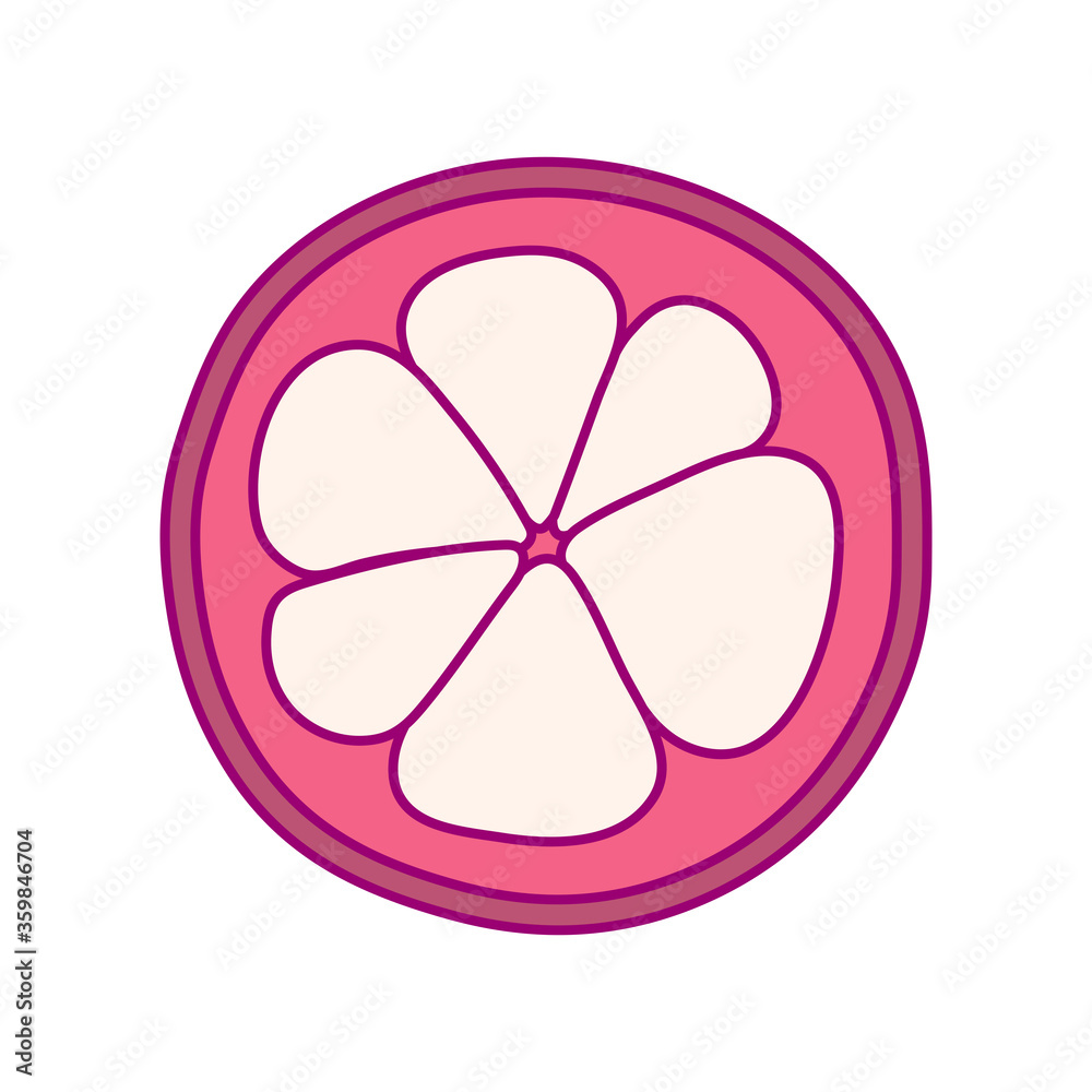 vector cute drawn fruit clip art mangosteen vector cute drawn fruit clip art mangosteen